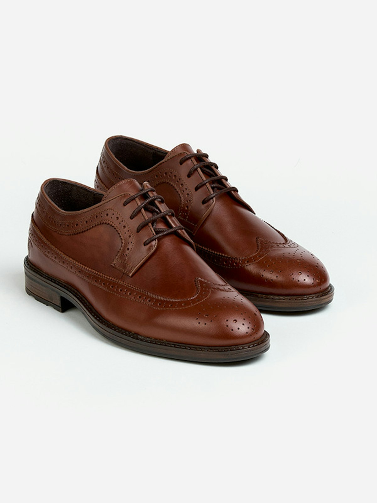 Zapato Oxford